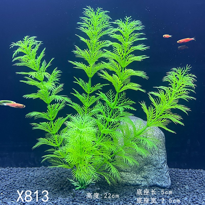 Aquarium Landscape Decorations - Planted Aquarium Supplies 评论和价格