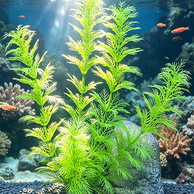 Aquarium Landscape Decorations - Planted Aquarium Supplies 评论和价格