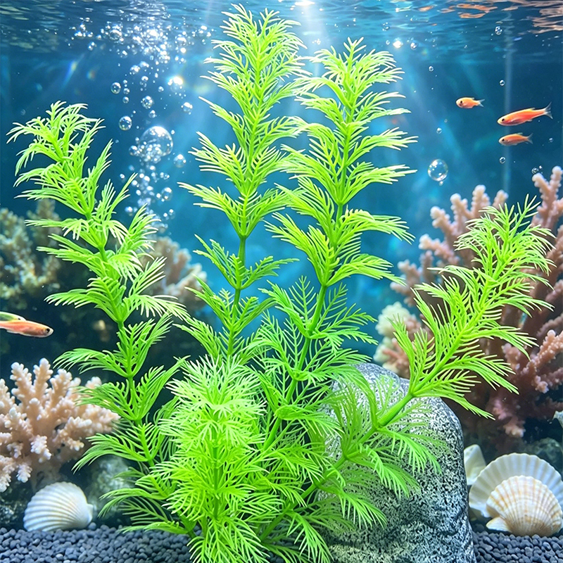 Aquarium Landscape Decorations - Planted Aquarium Supplies 评论和价格