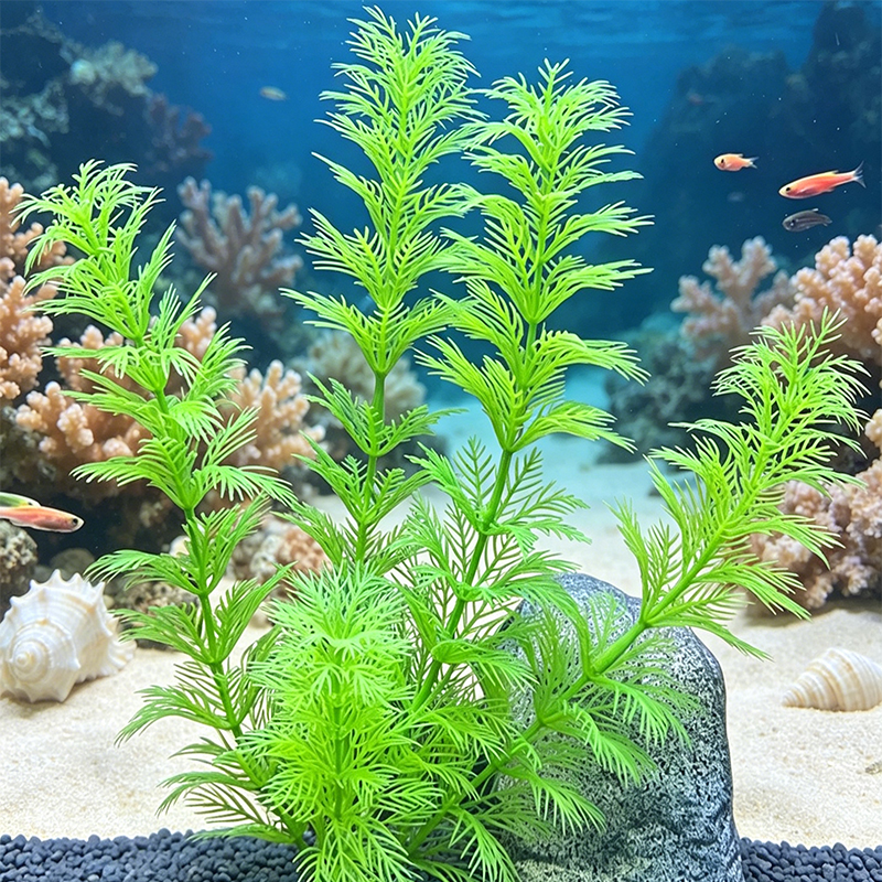 Aquarium Landscape Decorations - Planted Aquarium Supplies 评论和价格