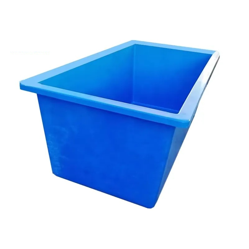 Living Plants for Aquarium Rou - Aquarium Planted Seeds 评论和价格