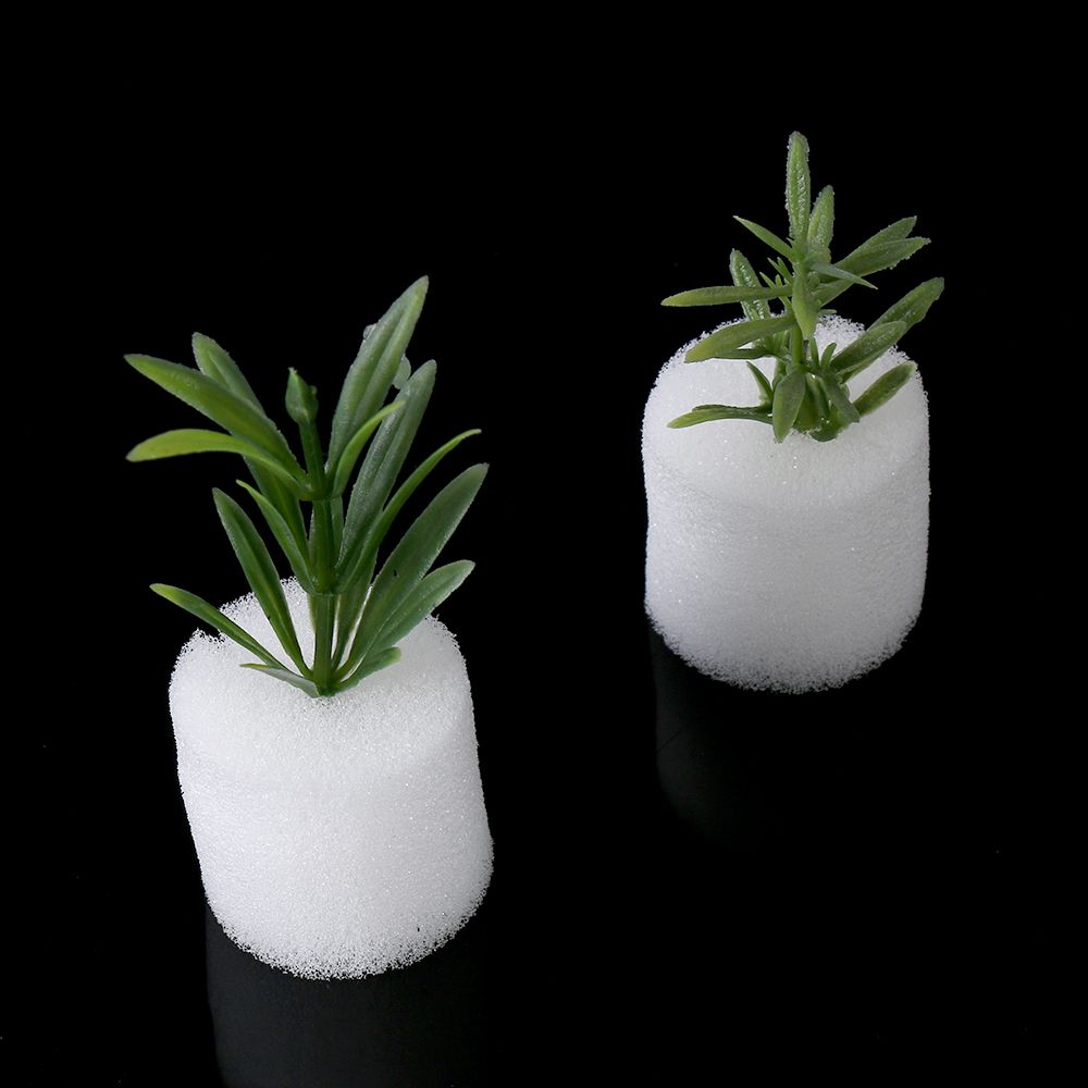 10/50pcs Durable Planting Aqua - Aquarium Planted Seeds 评论和价格