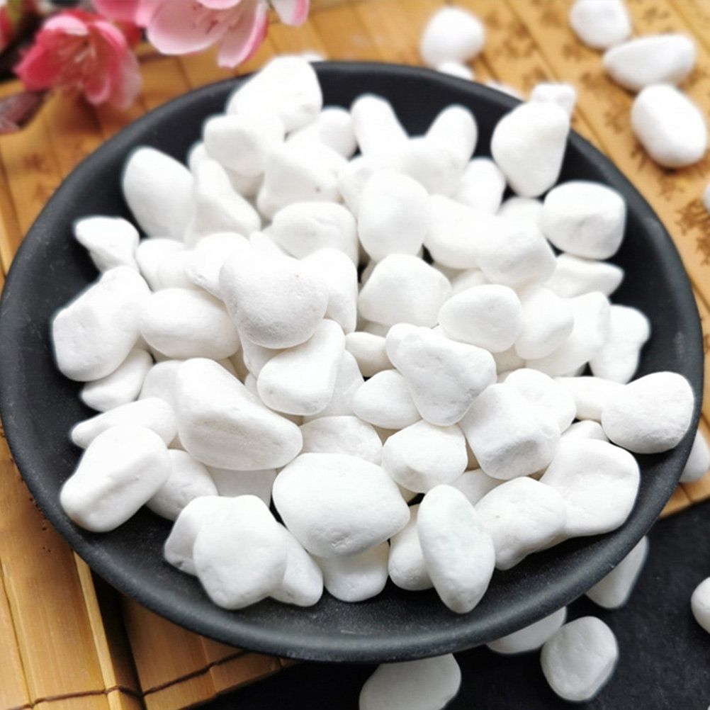 1Set Elegant White Decorative  - Planted Aquarium With Rocks 评论和价格