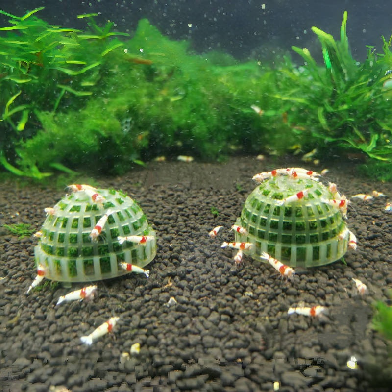 1pc Aquarium Moss Ball Holder, - Planted Aquarium Models 评论和价格