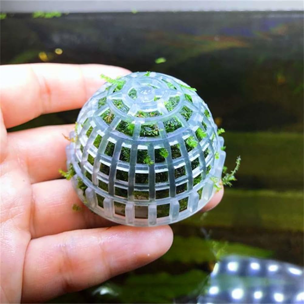 1pc Aquarium Moss Ball Holder, - Planted Aquarium Models 评论和价格