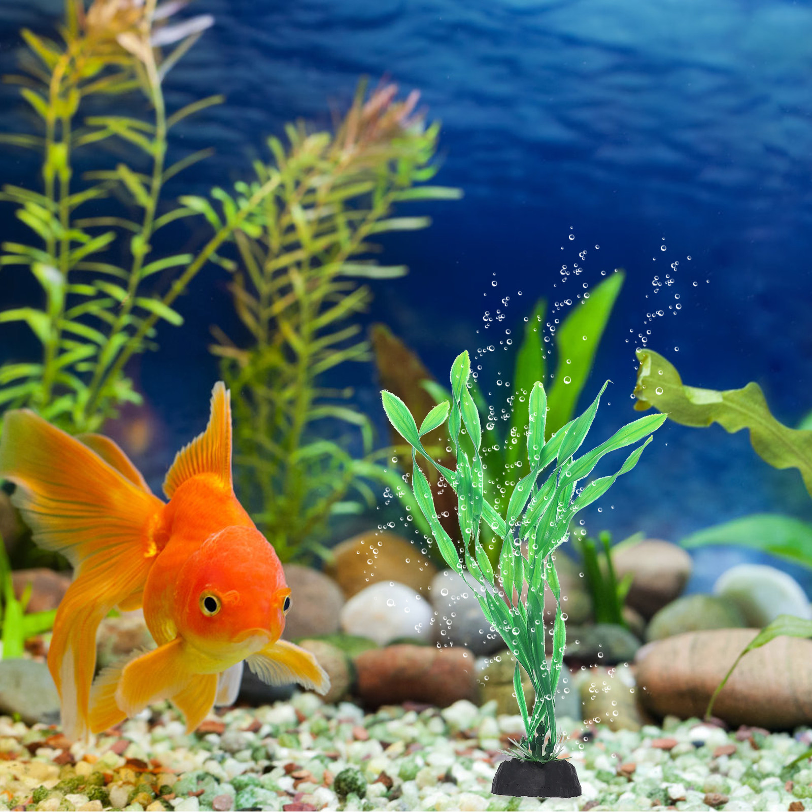 10Pcs Aquarium Decor Fish Tank - Planted Aquarium Supplies 评论和价格