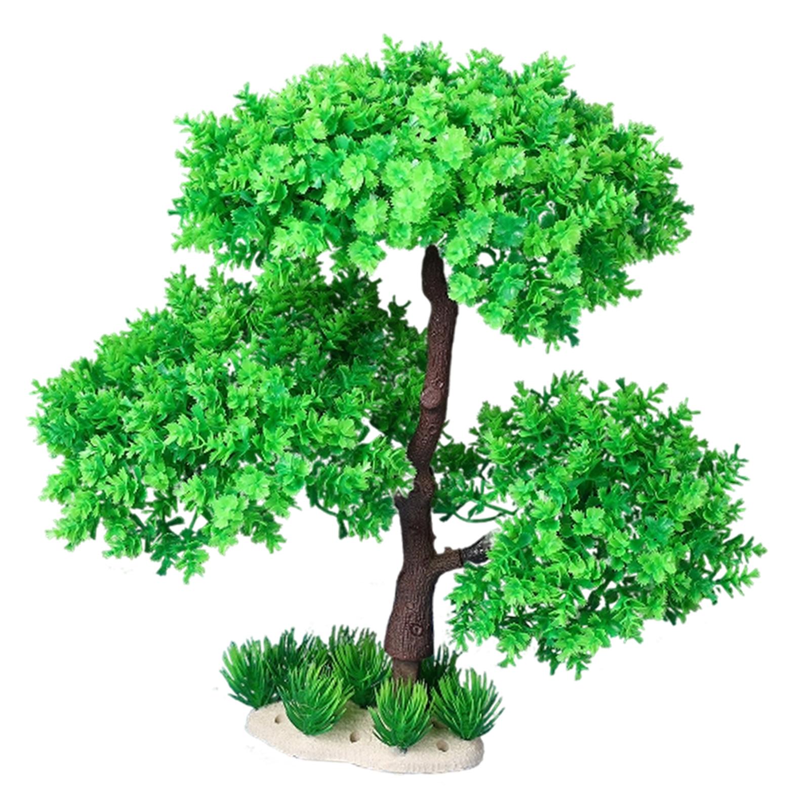 Aquarium Plants for Freshwater - Planted Aquarium Models 评论和价格