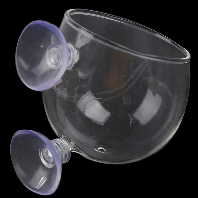^Fish Tank Mini Crystal Glass  - Planted Aquarium Mini 评论和价格
