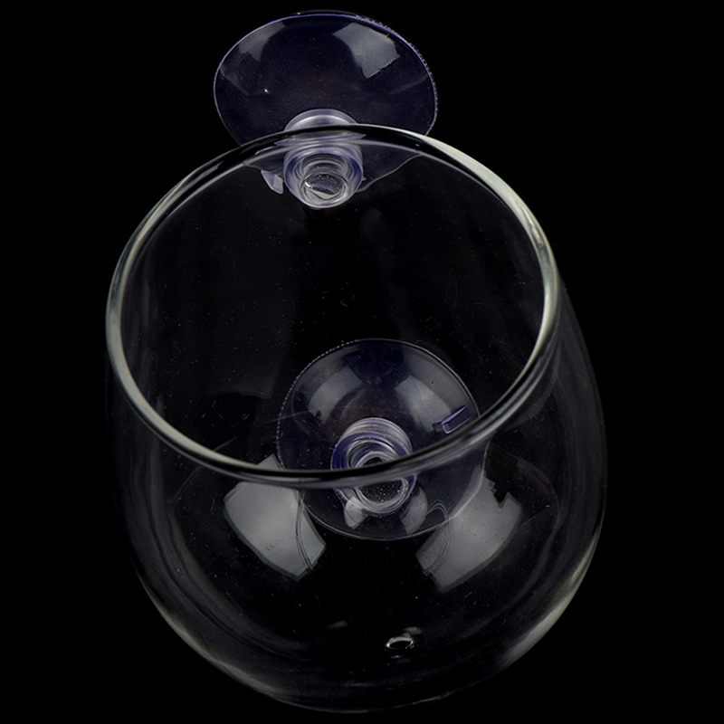 ^Fish Tank Mini Crystal Glass  - Planted Aquarium Mini 评论和价格