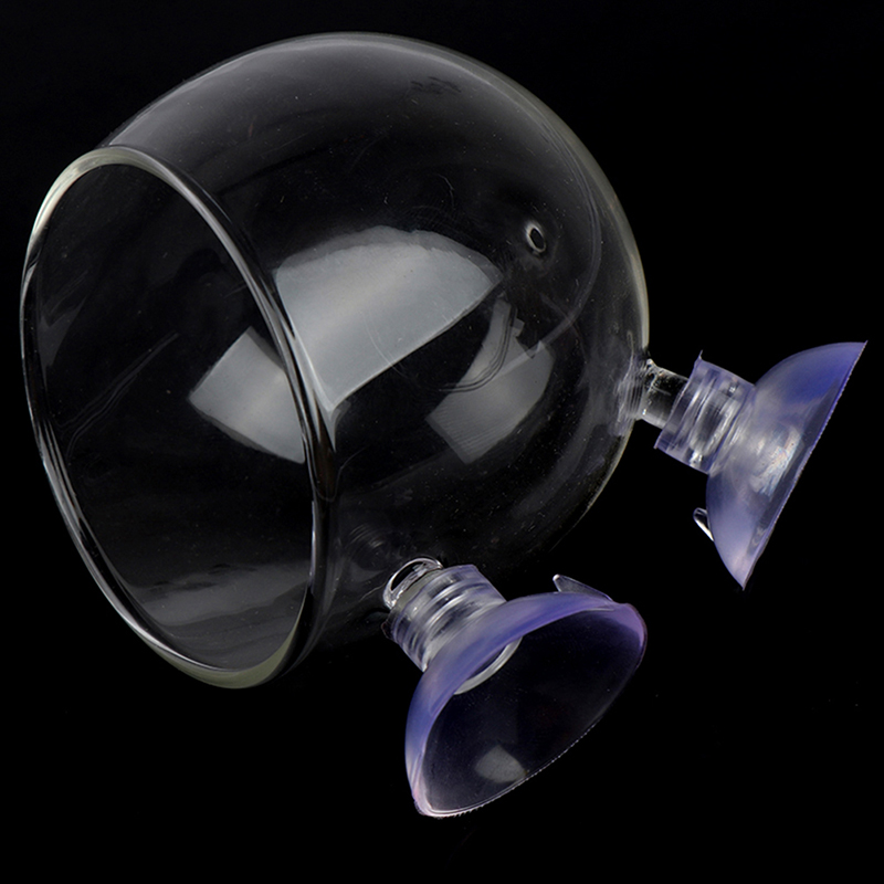^Fish Tank Mini Crystal Glass  - Planted Aquarium Mini 评论和价格
