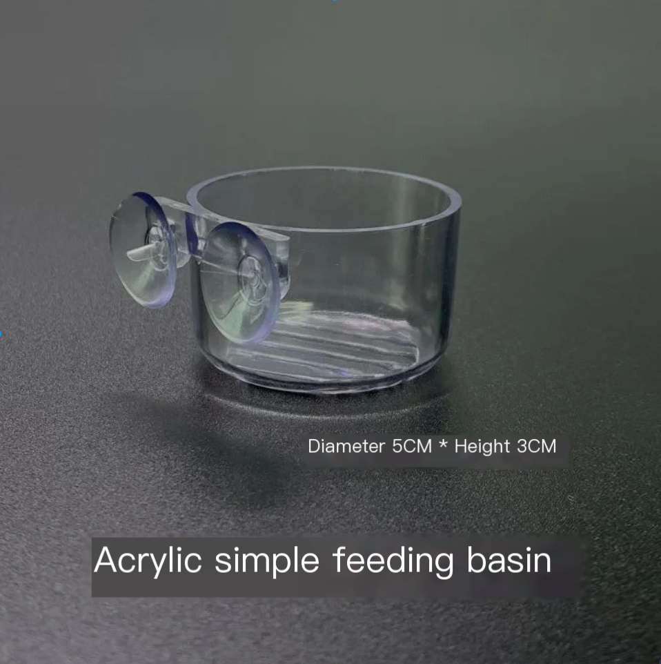 Aquarium Plant Pot Glass Cylin - Aquarium Planted Seeds 评论和价格