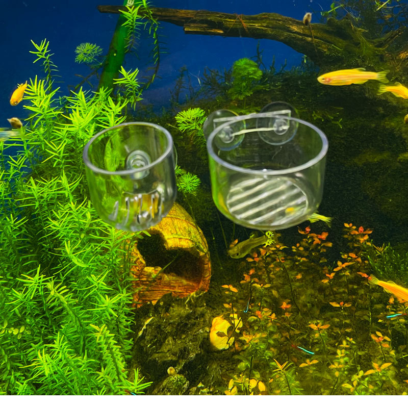 Aquarium Plant Pot Glass Cylin - Aquarium Planted Seeds 评论和价格