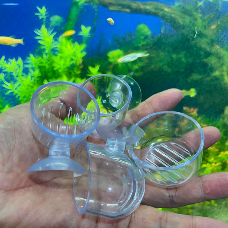 Aquarium Plant Pot Glass Cylin - Aquarium Planted Seeds 评论和价格